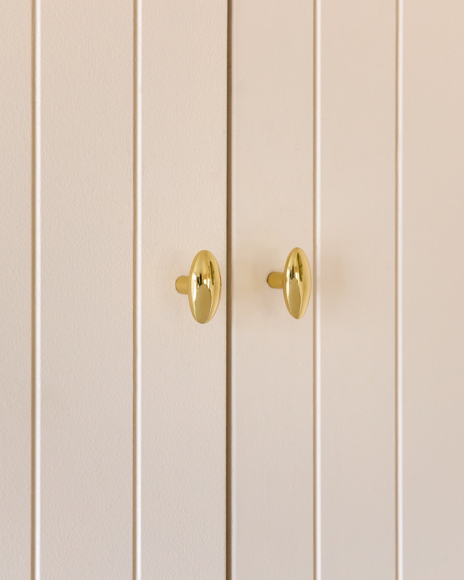 Polished Brass Oval Knob